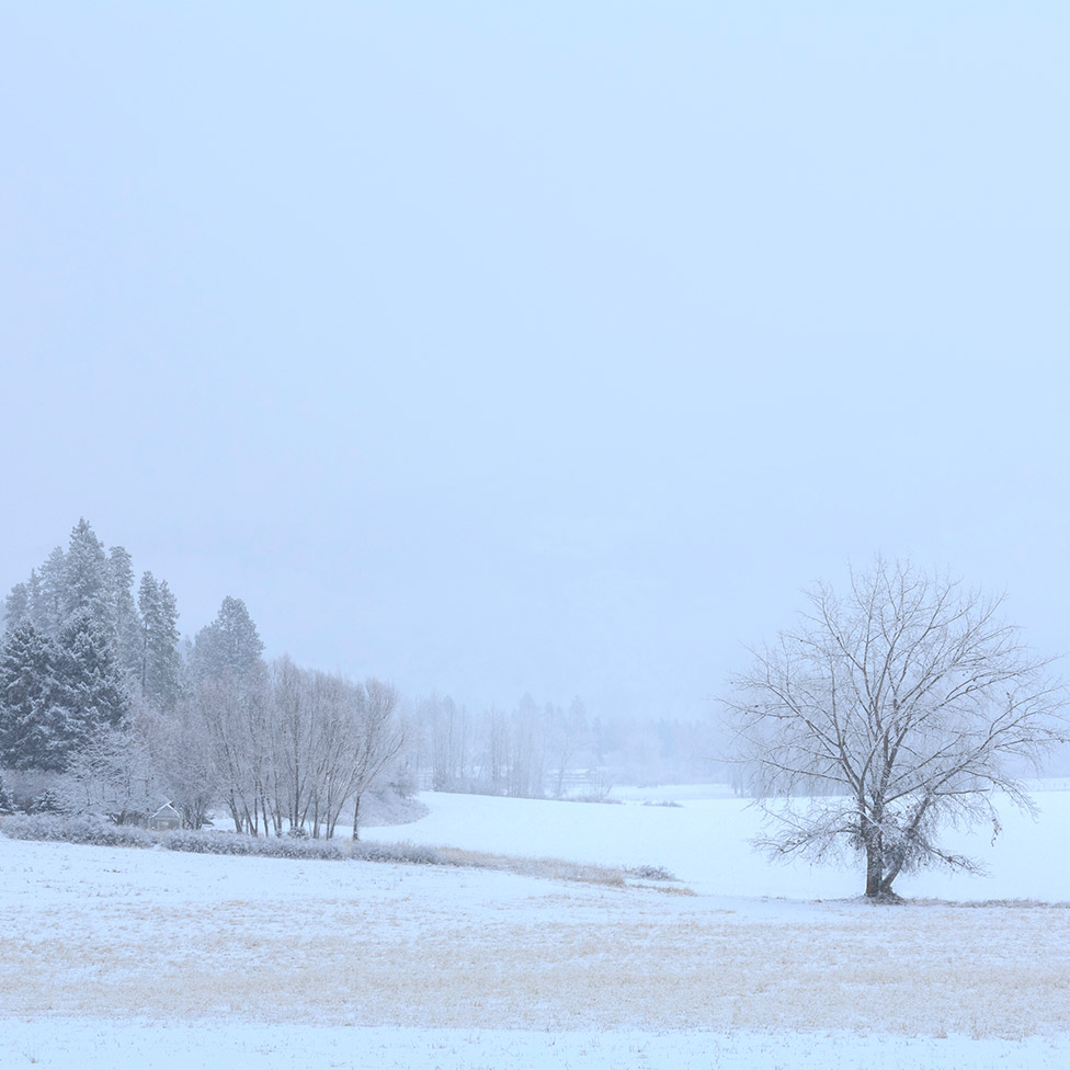 A scenic snowstorm in an open field in North Idaho