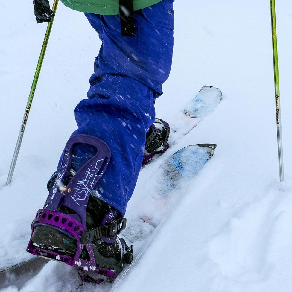 Cross-country skiing in North Idaho
