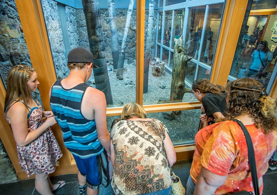 A display at the High Desert Museum in Bend, OR