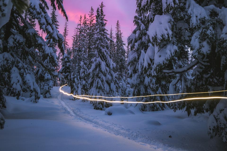 Dusk in the woods near Bend, OR with Wanderlust Tours