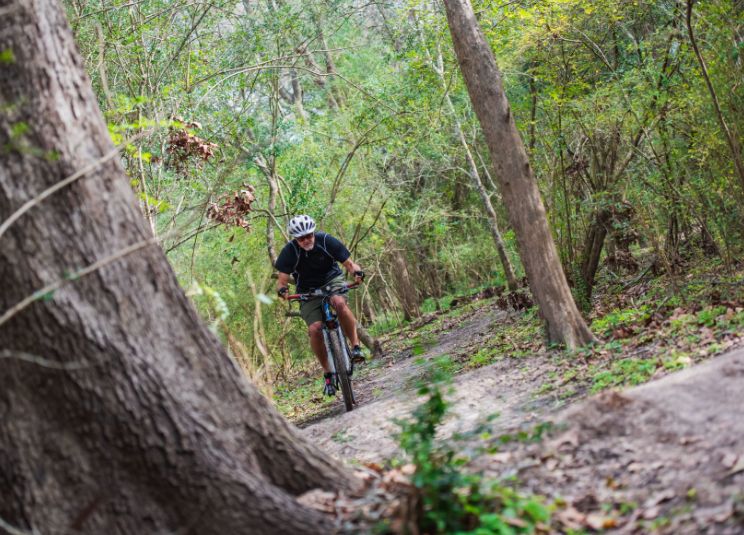 A tree covered path on the League City Mountain Bike Trail in Bay Area Houston.