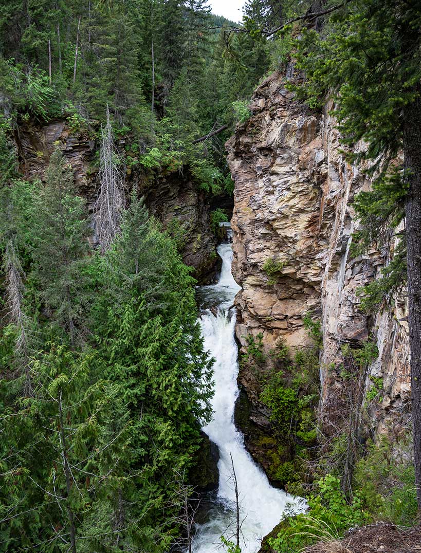 water gushes over a cliff of rocks, surrounded by pine trees
				