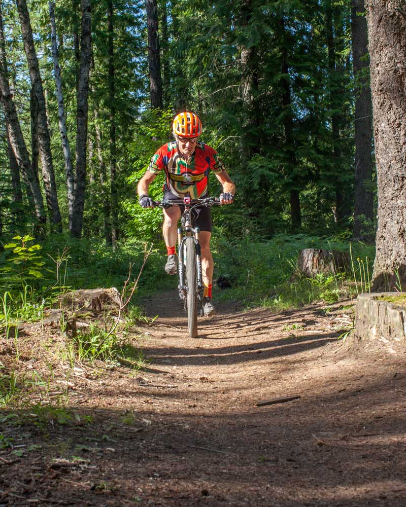  a person rides a mountain bike on a forested trail