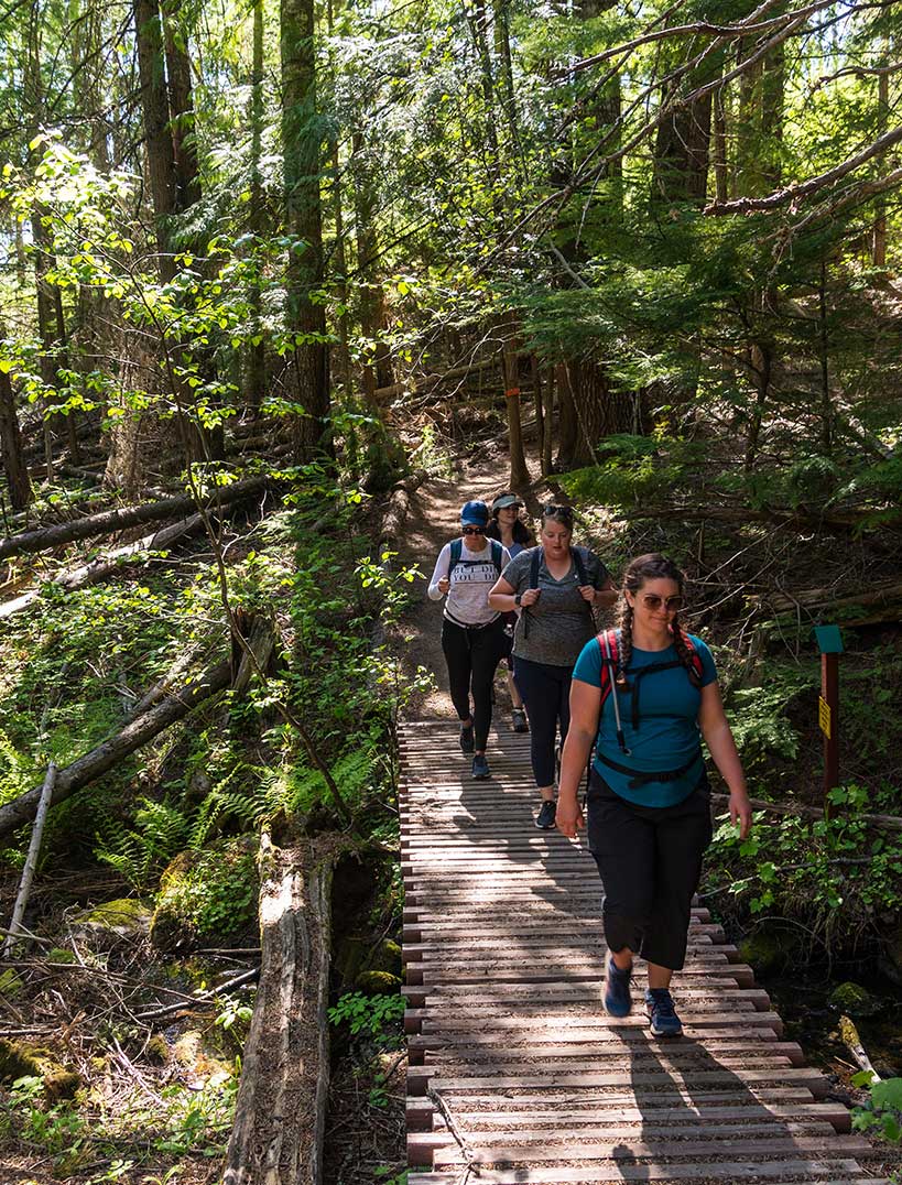 people walk along a wooden pathway in a lush forest 
				