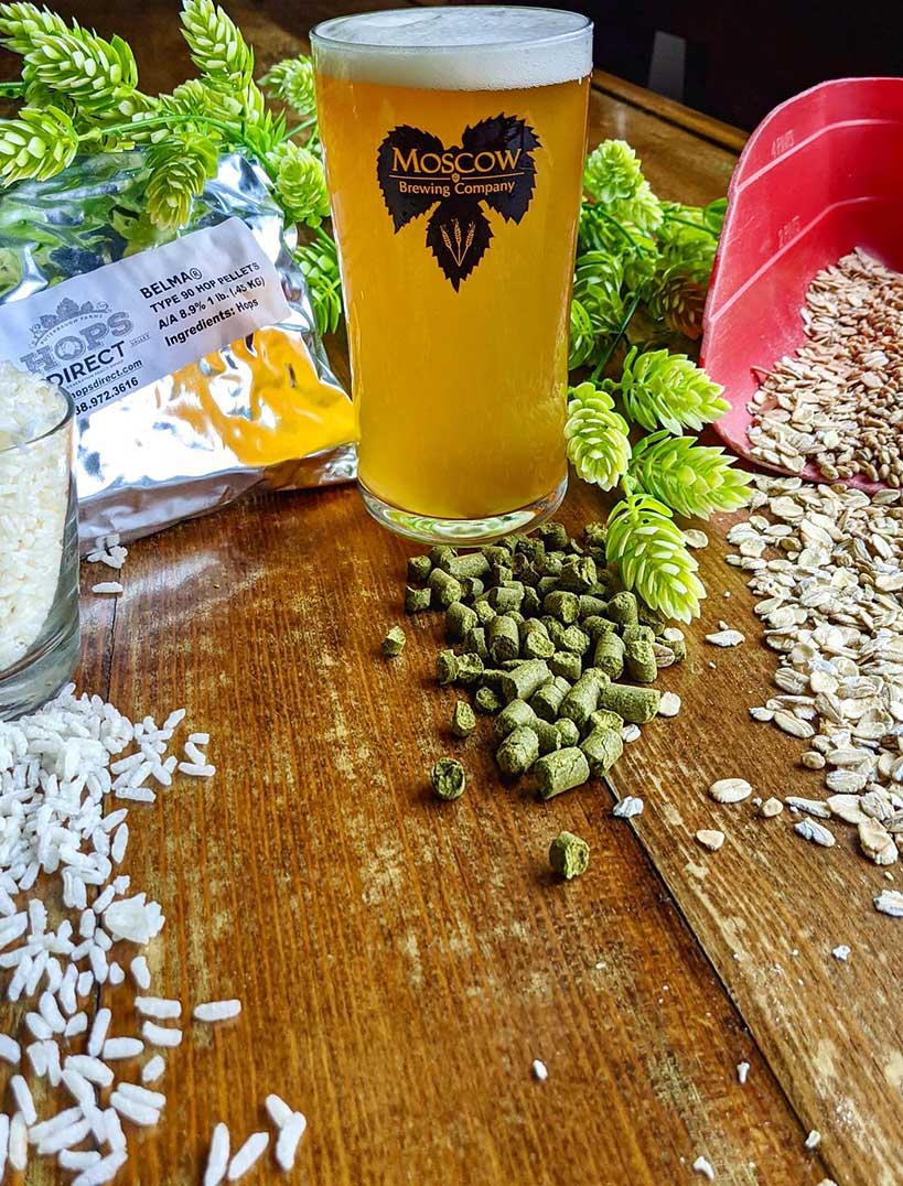 a pint of beer surrounded by grains and hops
			