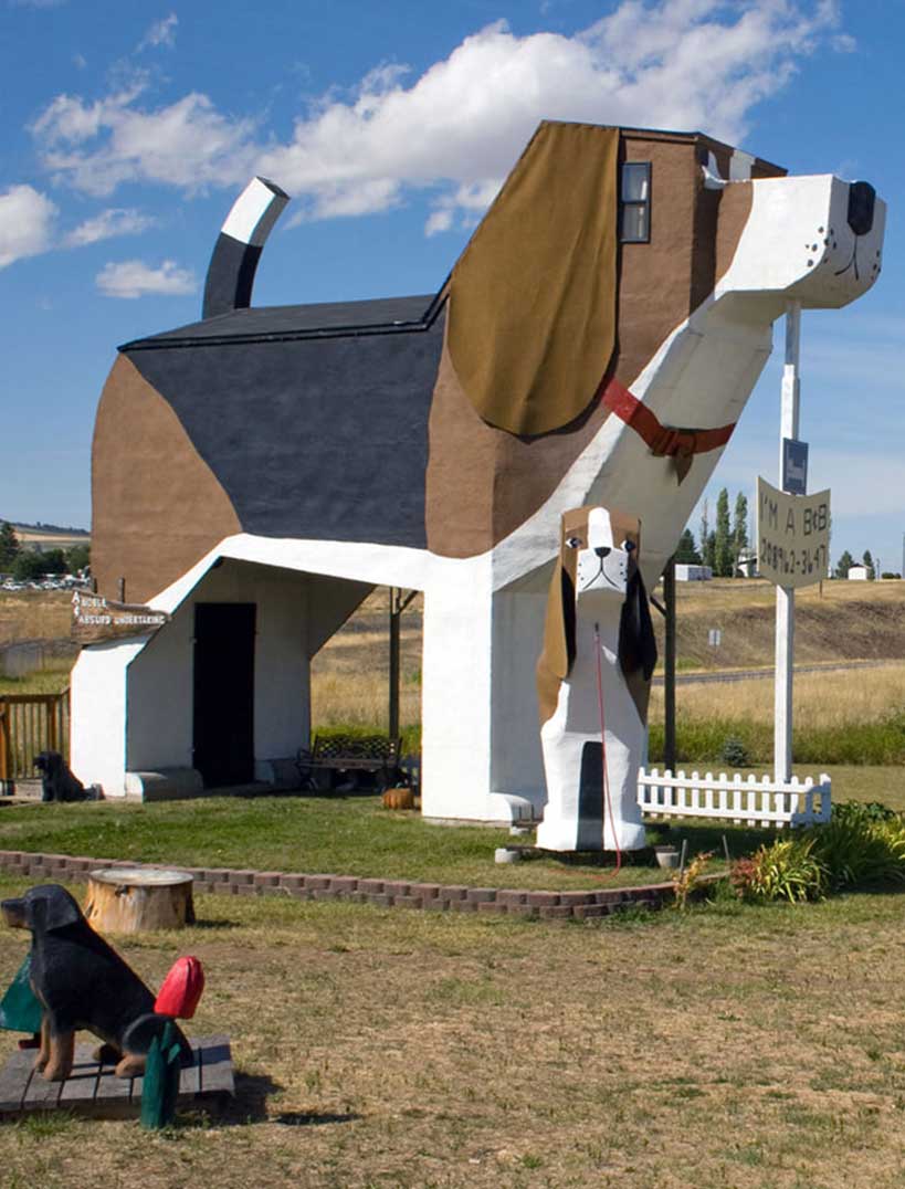the world’s biggest beagle bed and breakfast
			